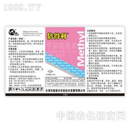 施普乐速白美齿组 六天焕亮牙白，诠释京津冀技术新标杆